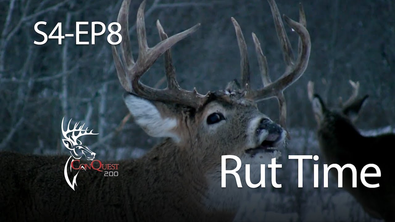 ConQuest 200. Season 4. Episode 8. Rut Time.