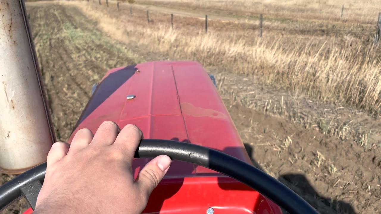 Discer Action with the Massey 165
