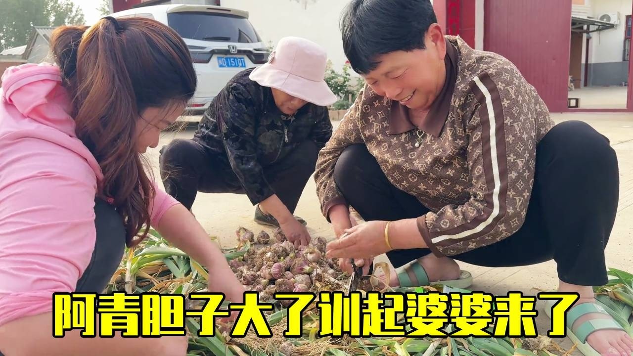 外地儿媳胆子肥了，还教训起婆婆来了，这样下去阿伟会不会换老婆~【青妹妹】