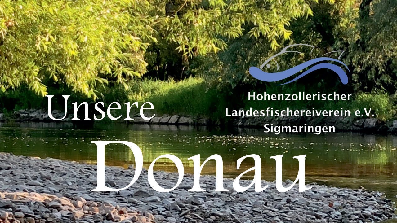 Fischen obere Donau bei Sigmaringen - Hohenzollerischer Landesfischerei Verein Sigmaringen e.V.