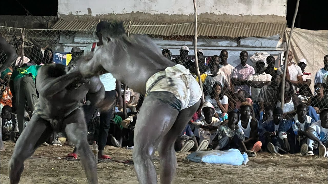 Top 5 😱GOUY GUI DJILASS ECRASE TALIBE CHEIKH 😱Lamb Djilor