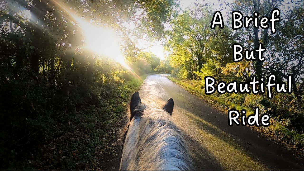 A brief but beautiful early morning ride with Blue / Hacking & chatting / Equestrian VLOG