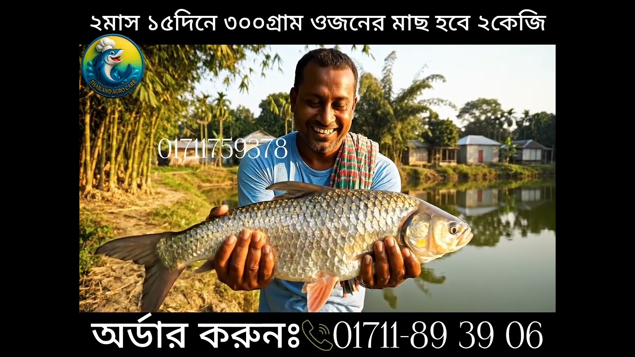 ৩০০গ্রাম ওজনের মাছ  ২মাস ১৫ দিনে হবে ২ কেজি
