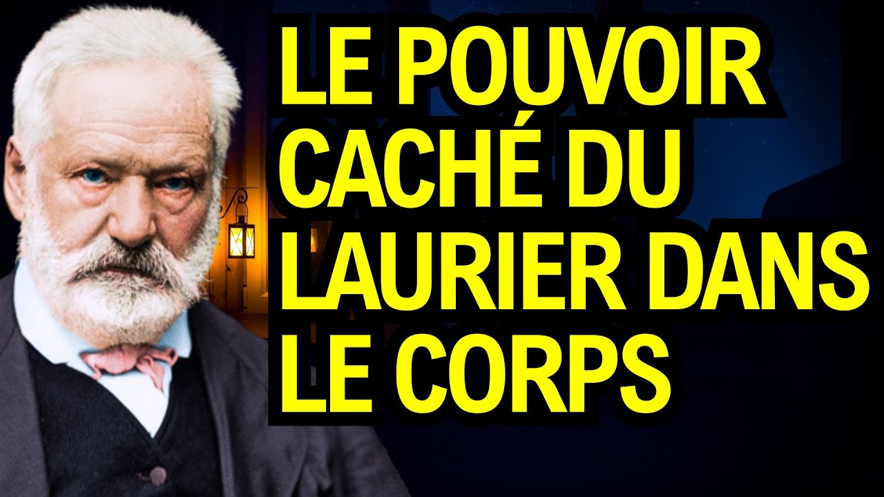 Mettez une FEUILLE de LAURIER sur le NOMBRIL : purification spirituelle simple – Victor Hugo