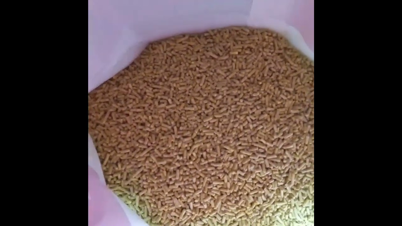 what I feed my ducks , Purina duck pellets and pay back crack corn.