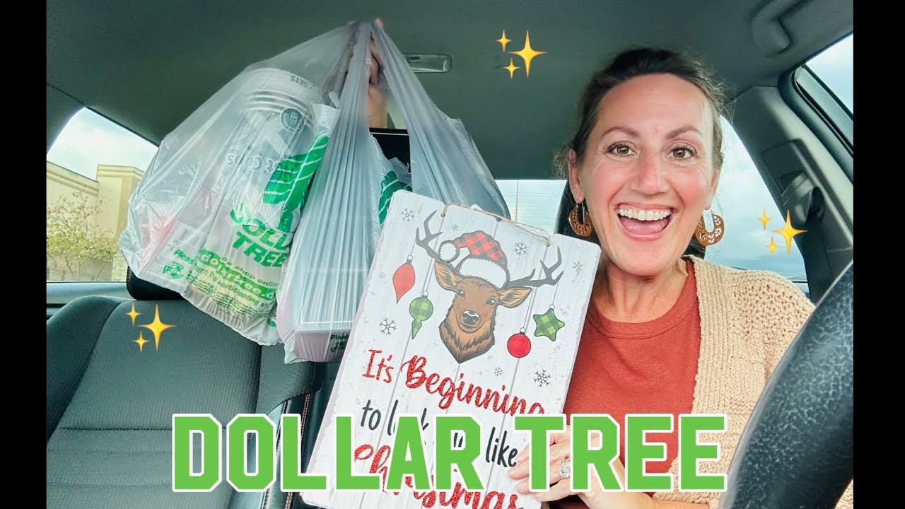 DOLLAR TREE HAUL | Exciting ✨NEW✨ Finds