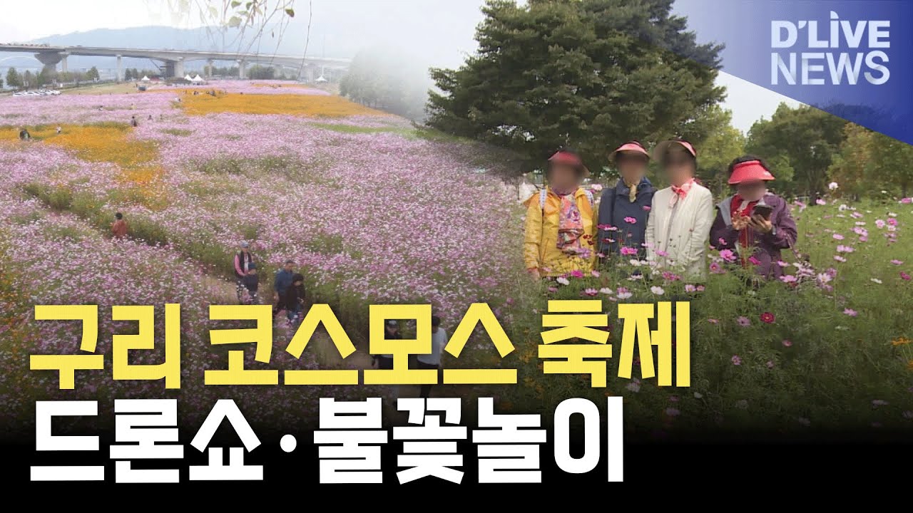 구리 코스모스축제 오는 26일 개막