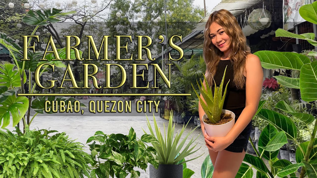 Fresh Air from Farmers Garden in Cubao
