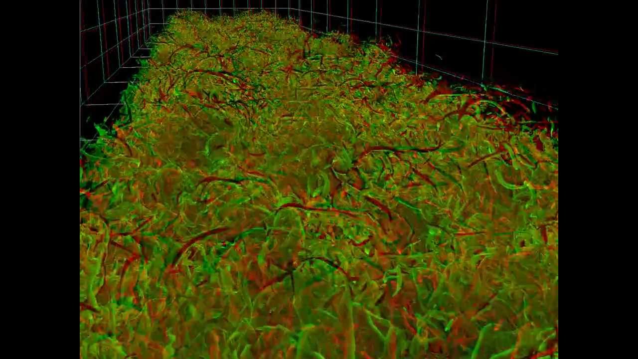 Stereo Turbulent Boundary Layer (APS Gallery Submission 2011)