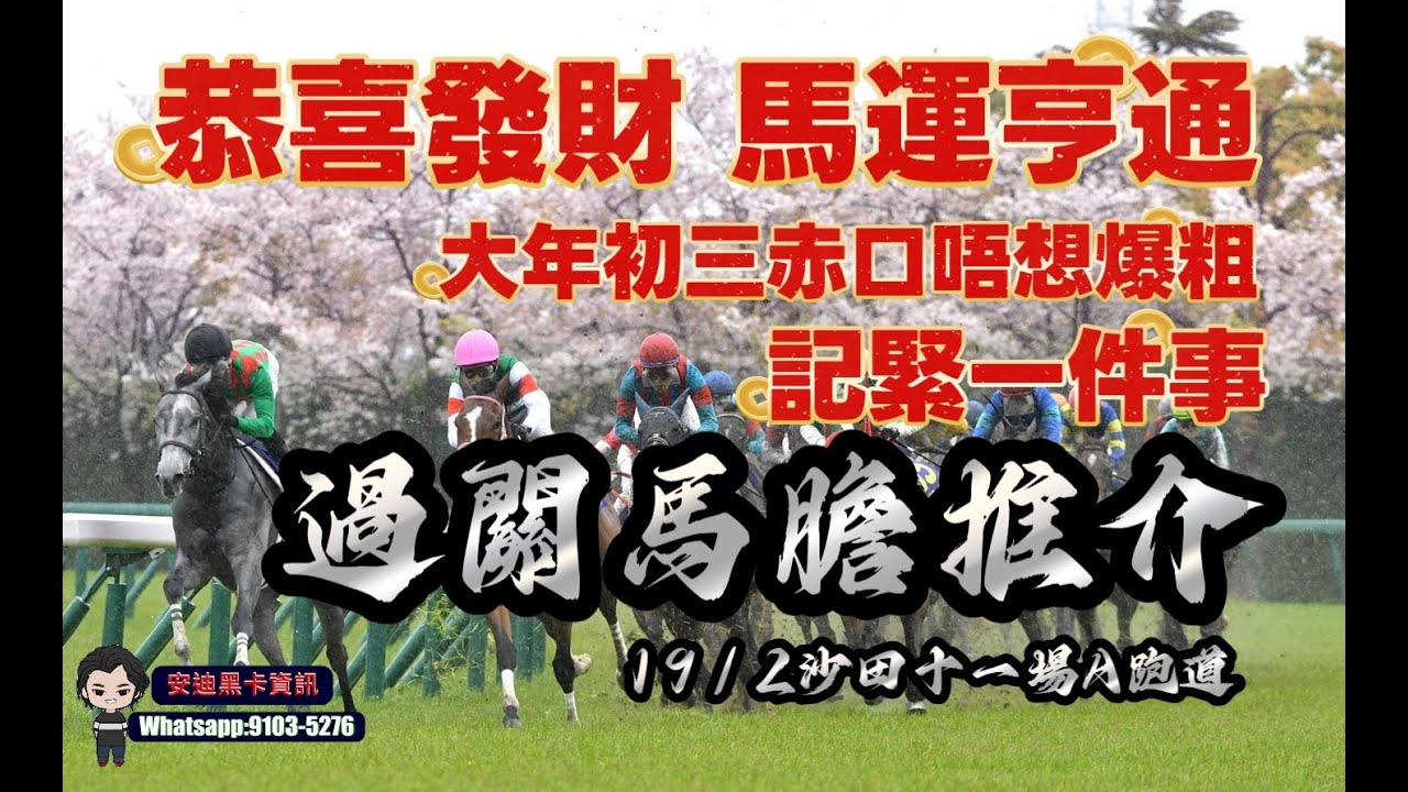 大年初三赤口唔想爆粗記住一件事.過關馬膽推介.19/2沙田十一場A跑道.