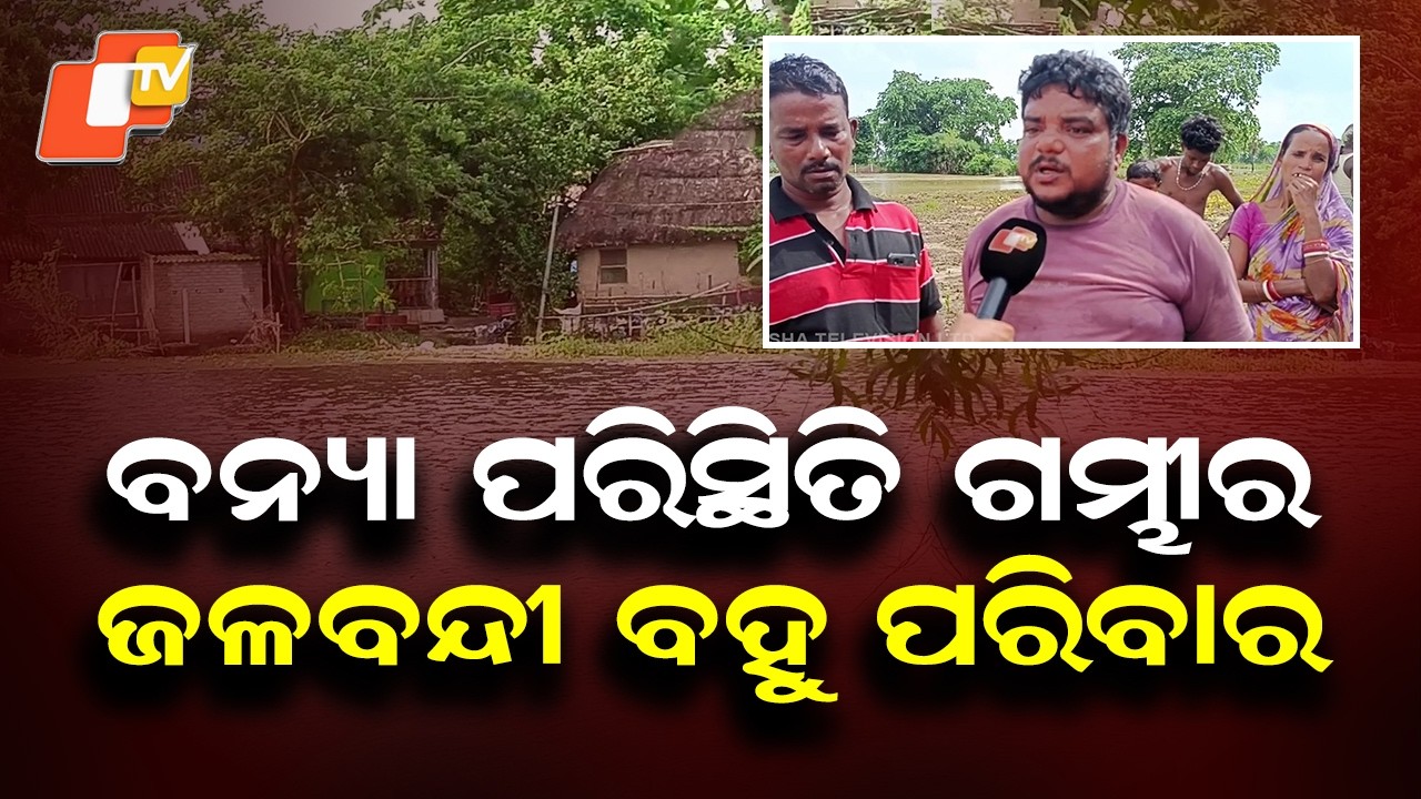Flood Wreaks Havoc in Basudevpur: Thousands of Acres of Farmland Submerged, Families Stranded