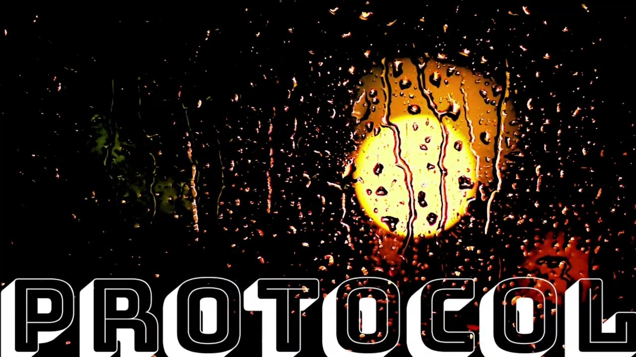 PROTOCOL LOFI MUSIC 🎶 🎵 #lofi #viral #tranding #happy #soocuteblog #butterfly #lovely #music #song 