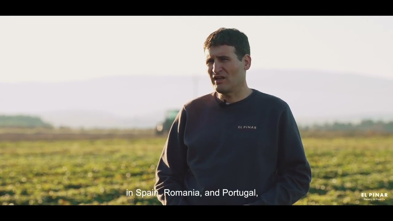 El Pinar. Innovation and production of plants and soft fruits. EN