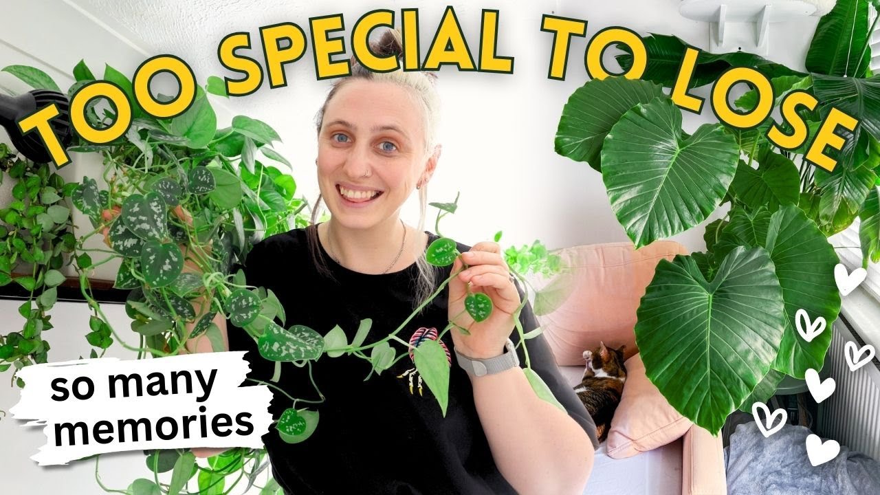 The Houseplants I’ll Keep Forever 🪴🥰 (and Why)