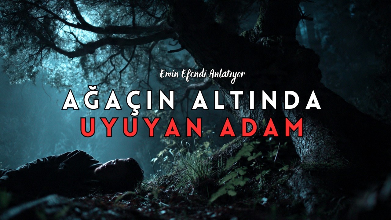 Ağaç Altında Uyuyan Adamın Yaşadığı Korkunç Olaylar | Emin Efendi Korku Hikayeleri