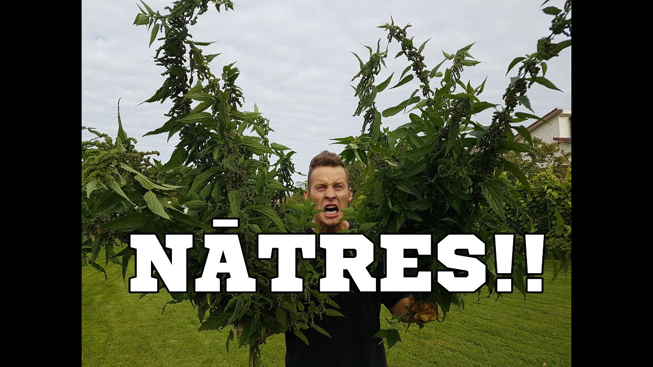 NĀTRU KAUJA | neatkārtojiet &scaron;o!!!