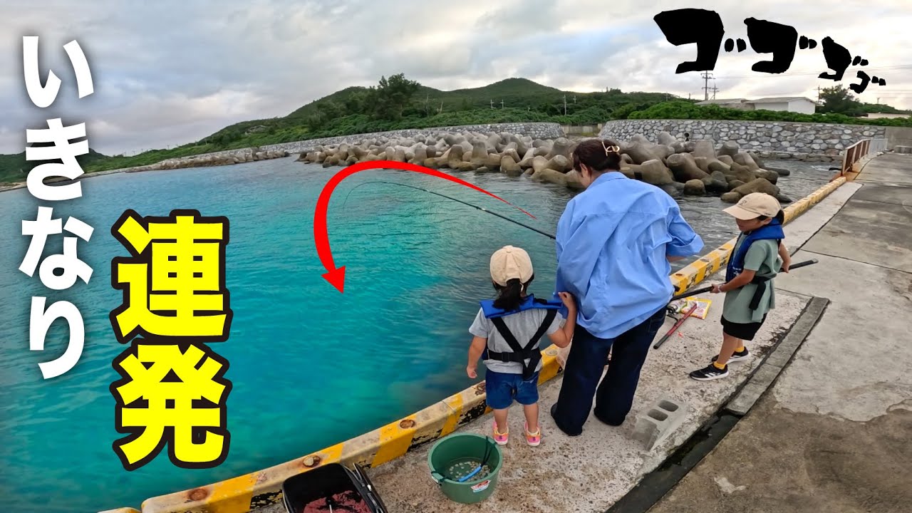 近場の港で釣りしたら急に入れ食い始まった