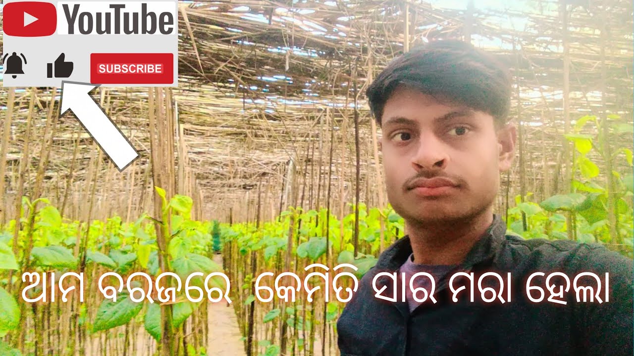 ଆମ ବରଜରେ କେମିତି ସାର ମରା ହେଲା😭😀