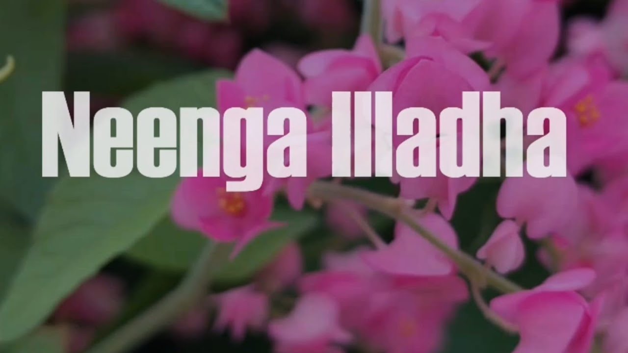 நீங்க இல்லாத வாழ்க்கை | neenga iladha | Tamil Christian song | Jesus song❤️ | @sankarworshiptunes 