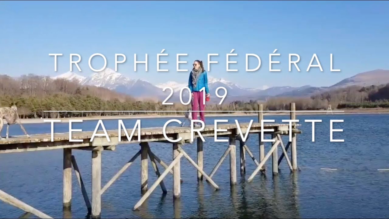 VLOG | Trophée Fédéral GAP 2019 | Canicross & CaniVTT