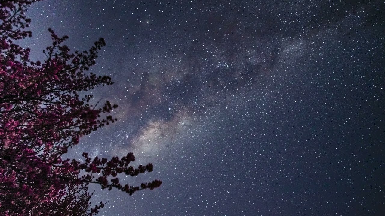 The May Night
