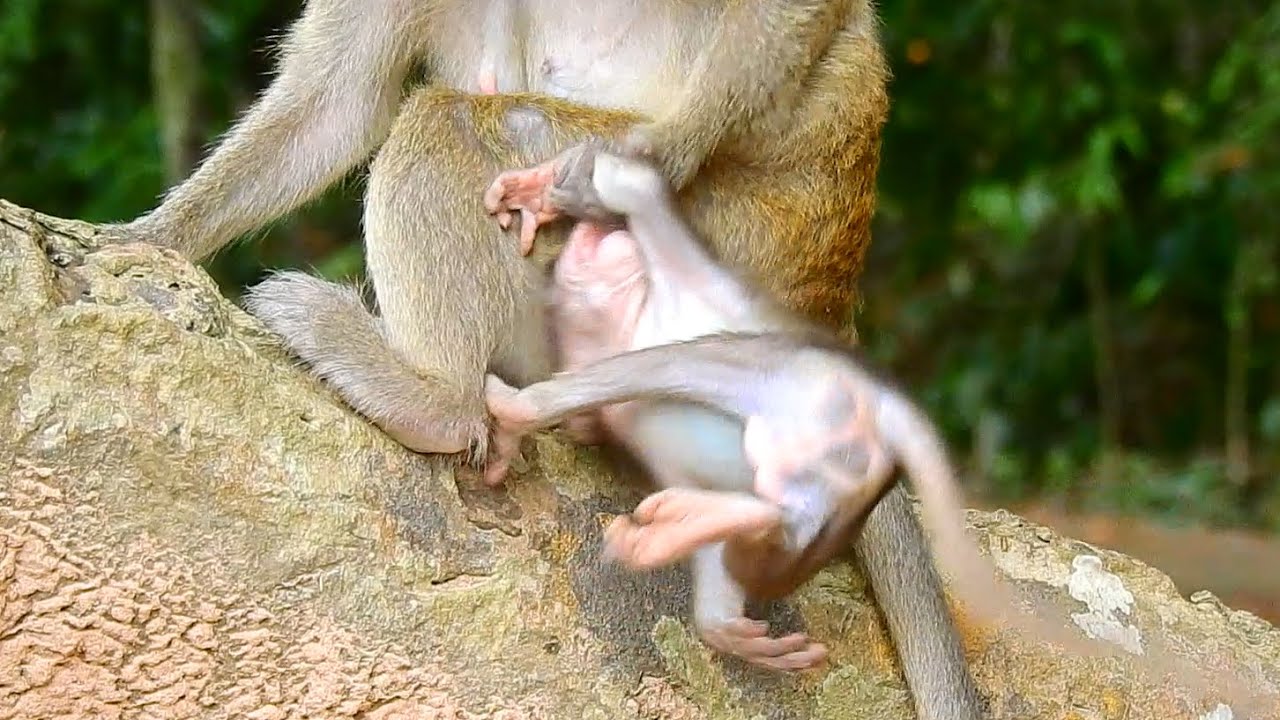 HORROR DISCIPLINE&hellip;BREAK MY HAND MUMMY&hellip;POOR BABY MISTY GOT HURT DUE TO MUM STRONG CATCH.