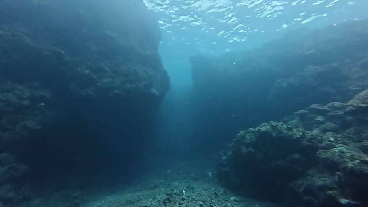 260303【Dive1桜口08】石垣島ダイビングツアー