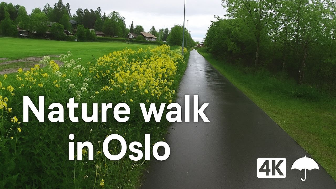 Rainy Walk in Oslo Suburb | Siljeholtet, Haslum | 4K Walking Tour