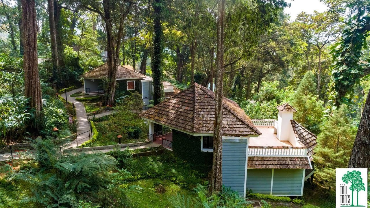 The Tall Trees Munnar, Devikolam, India | Travel With Anvika