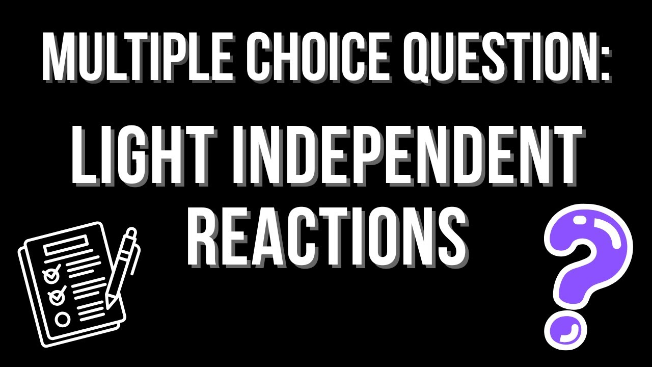 MCQ: Светонезависимые реакции
