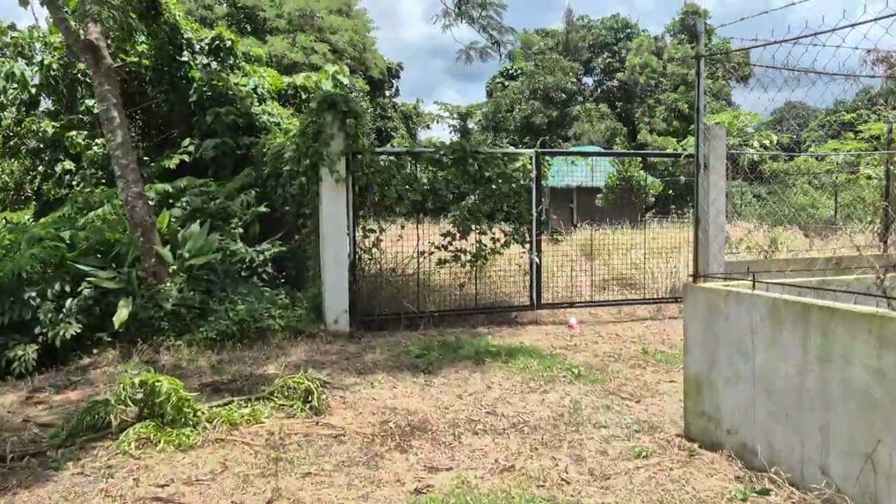 Indang Farm Lot, Brgy Lumampong