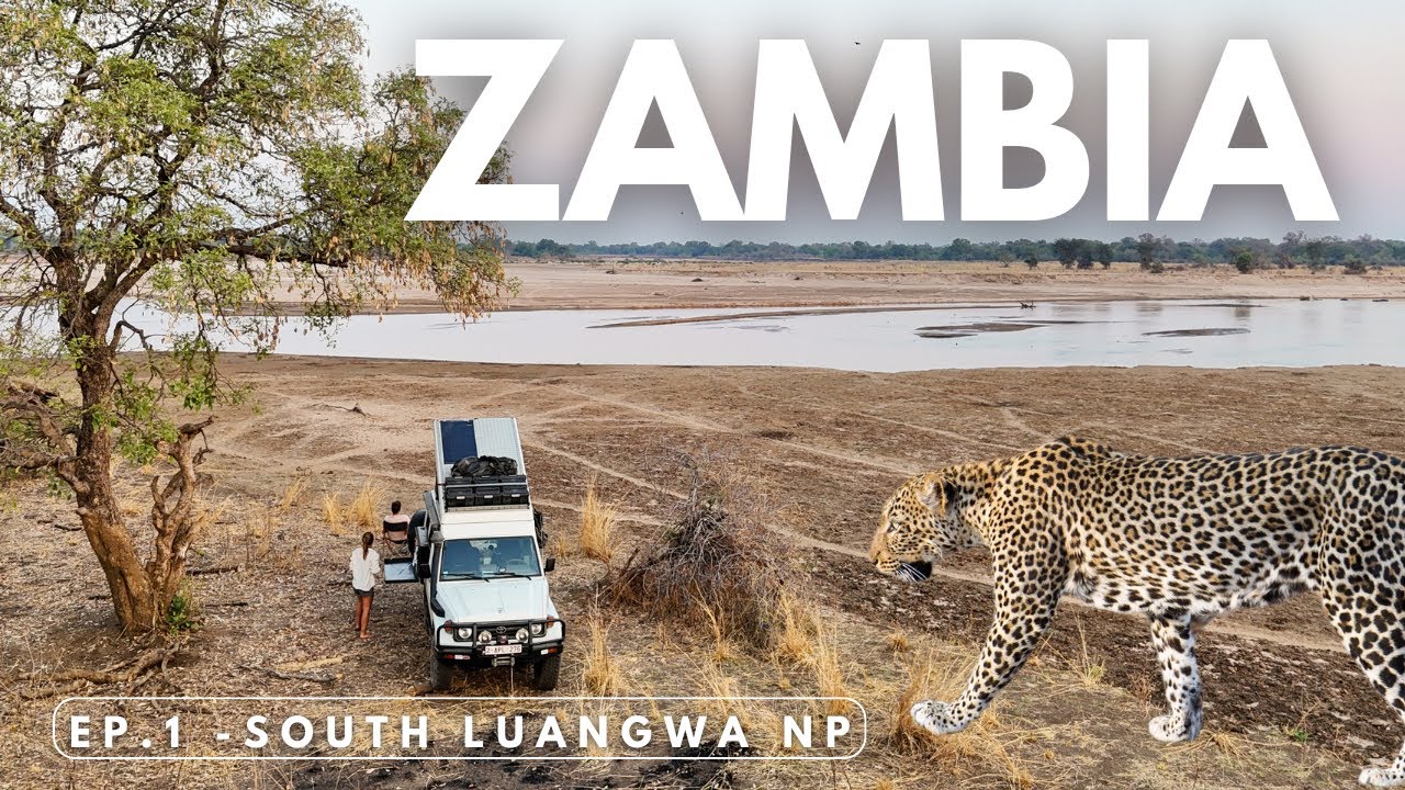 ZAMBIA Selfdrive safari in South Luangwa National Park - Zambia EP1