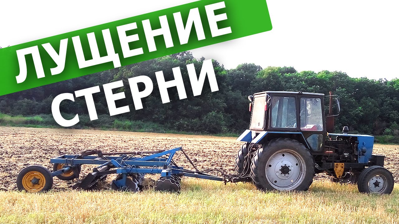 Лущение стерни на ЮМЗ-6кл с дисками АГ-2,4. #СельхозТехника_ТВ №33