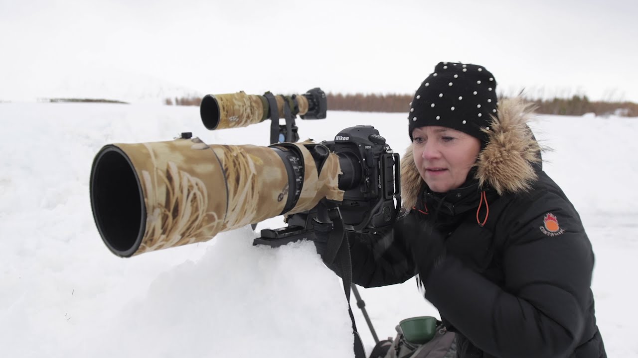 WILDLIFE PHOTOGRAPHY IN WINTER | a great photo adventure in the island of Hrisey