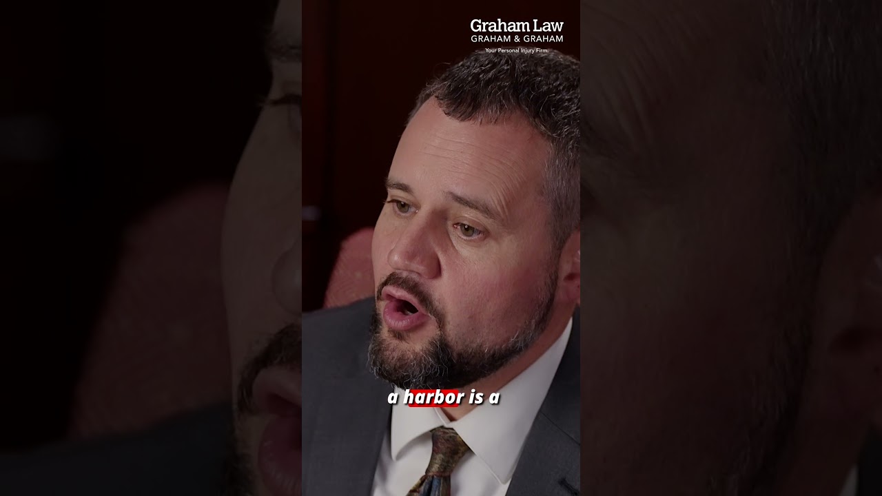 Кто виноват в травме от укуса собаки в Огайо? | Graham Law