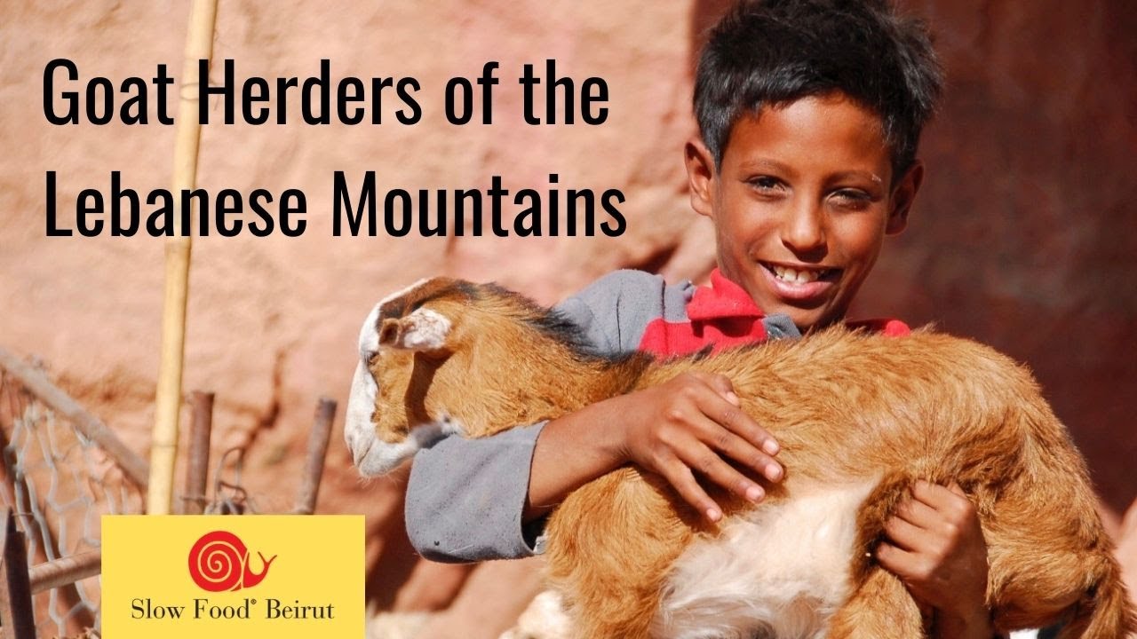 Goat Herders of the Lebanese Mountains
