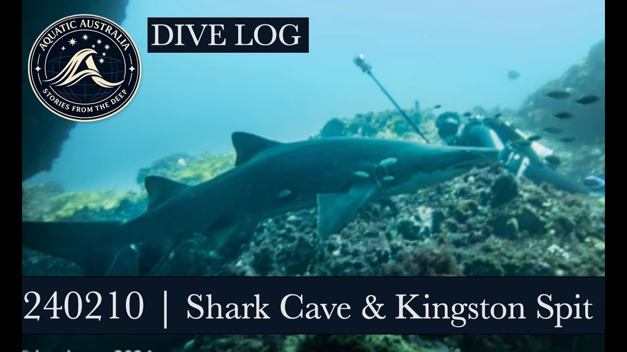 240210 | DIVE LOGS #2006-2007 - Rottnest Is. - Shark Cave and Kingston Spit vers 1 | Scuba Diving WA