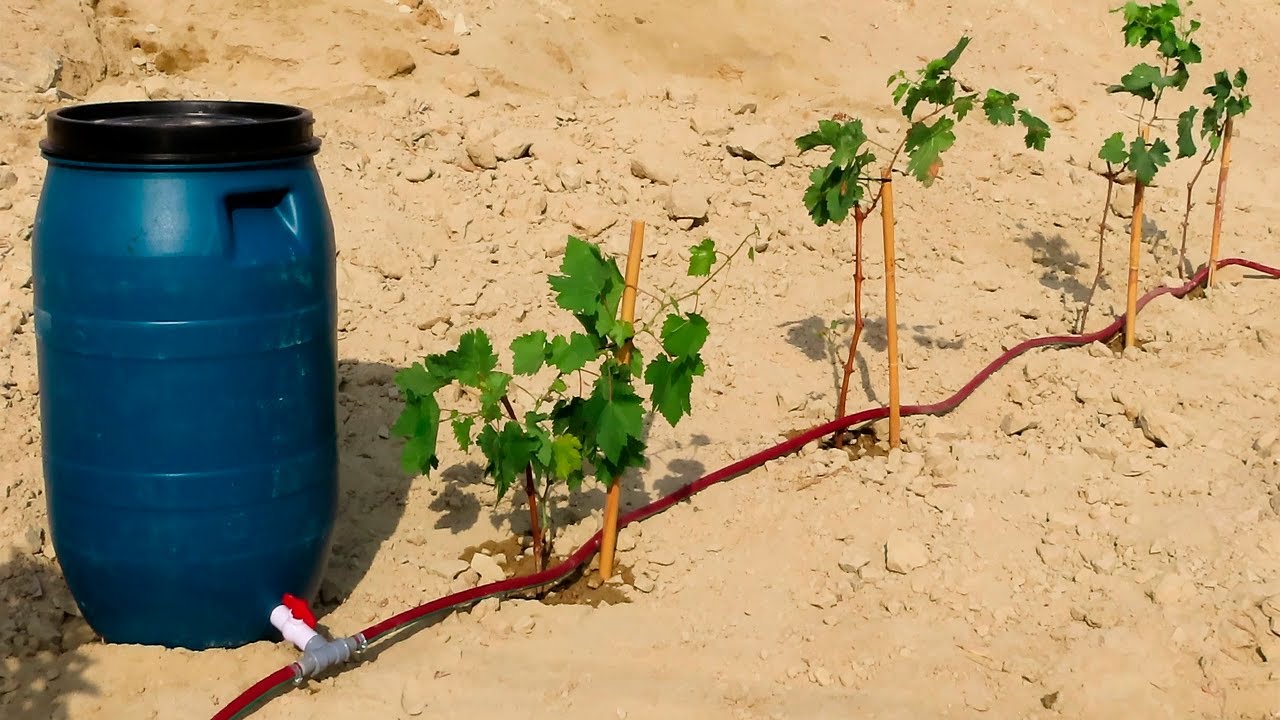 Como hacer riego por goteo casero barato y fácil de hacer