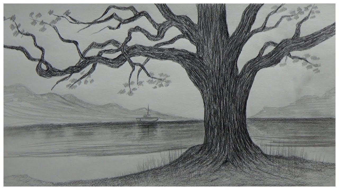 رسم شجرة