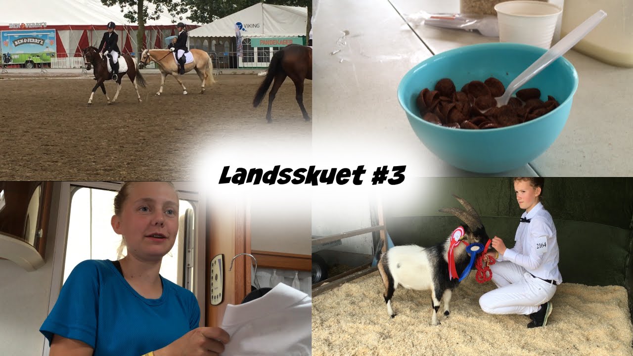 Landsskuet i Herning 2016 #3