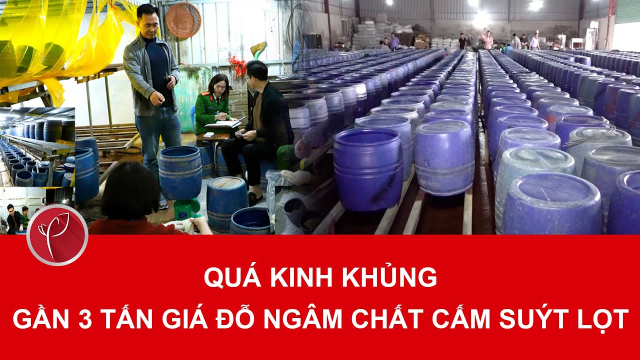 Bản tin trưa 8/2: Sởn gai ốc gần 3 tấn giá đỗ ngâm chất cấm suýt lọt ra thị trường