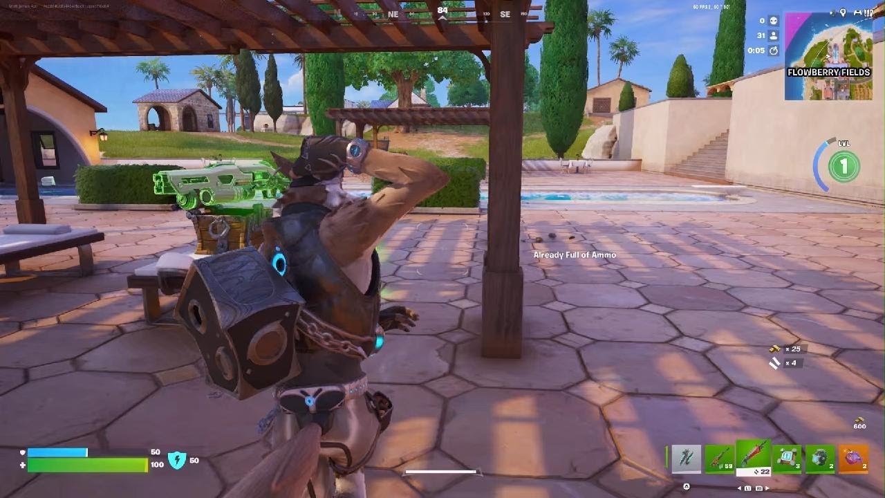 Fortnite-All Dogs Do Go 2 Heaven