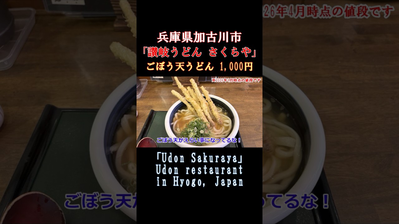 【兵庫 旨い土ごぼう天うどん1,000円】物価高のご時世にごぼう天うどんが1,000円で破格のコスパ高 #グルメ #兵庫 #加古川市 #さくらや #うどん #天ぷら #旨い #美味しい #shorts