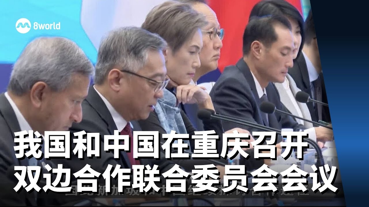 我国和中国在重庆召开新中双边合作联合委员会会议