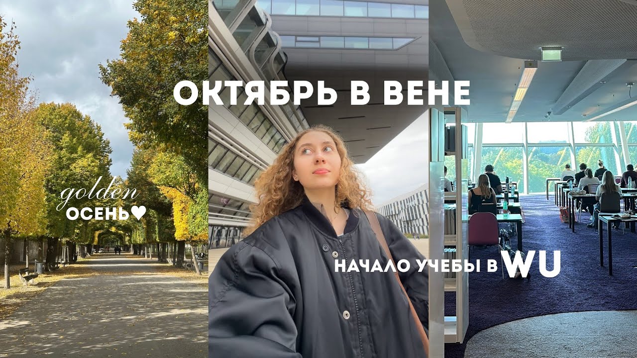 осень в Вене | начало учебы в WU | как я выбирала магистратуру?
