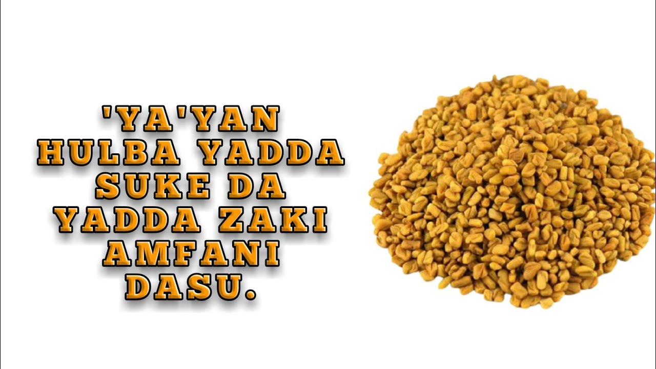 'Ya'yan Hulba (Yadda suke Da Yadda Zaki Amfani dasu).