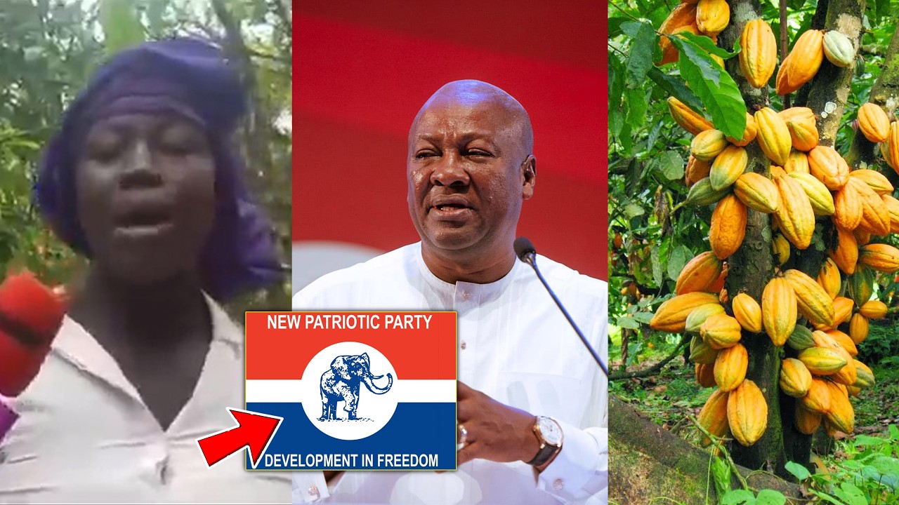 SOME COCOA FARMERS EXPOSED OPPOSITION PARTY”NPP FOR BRIBERY THEM TO DO DEMOSTRATION..