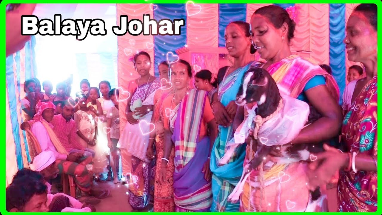 BALAYA JOHAR SANTHALI BAPLA 2024//SANTAL BAPLA VIDEO 2024