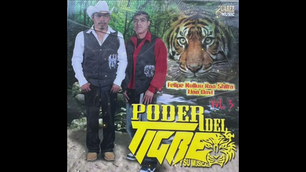 disco completo vol 3-el poder del tigre y su ￼ musical / 2009
