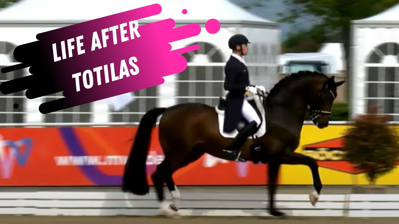 The After Math: Matthias Rath Building The Foundation - Life After Totilas